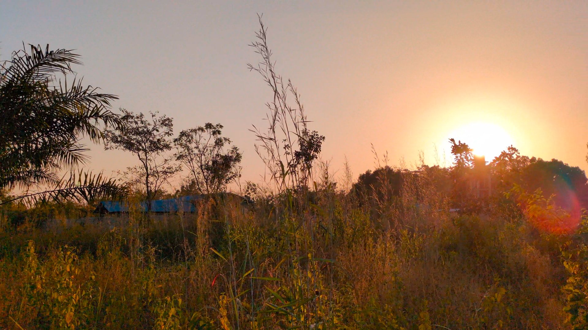 Coucher de soleil sur le domaine de la Cité du Vivant à Ouèssè